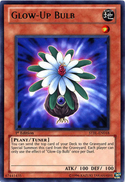 Glow-Up Bulb Card Front