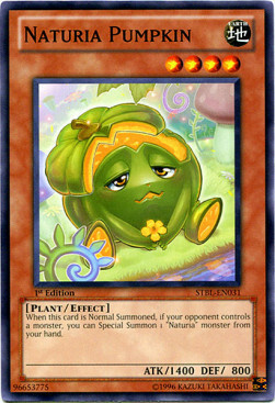 Naturia Pumpkin Card Front