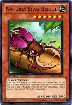Naturia Stag Beetle Card Front