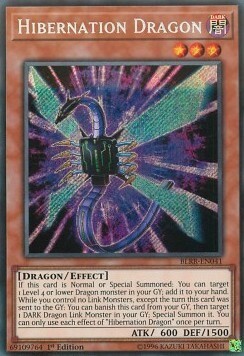 Hibernation Dragon Card Front