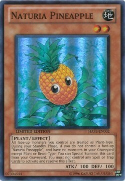 Naturia Pineapple Card Front