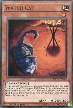 Watch Cat Card Front