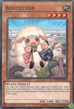 Boycotton Card Front