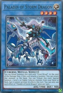 Paladin of Storm Dragon Card Front