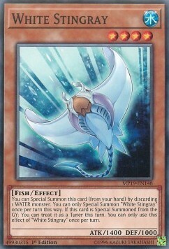 Pastinaca Bianca Card Front