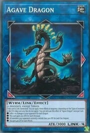 Agave Dragon · Common 191