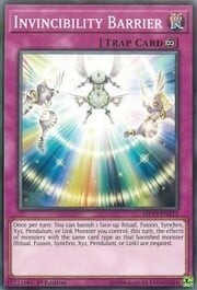 Invincibility Barrier · Common 211