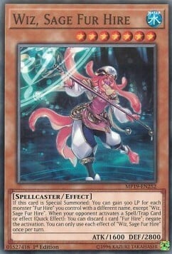 Wiz, Sage Fur Hire Card Front