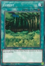 Forest · Common 017