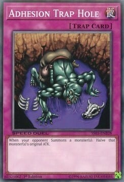Adhesion Trap Hole Card Front