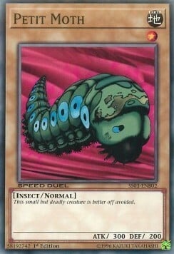 Petit Moth Card Front