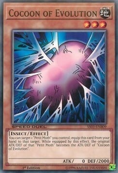 Cocoon of Evolution Card Front