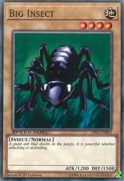 Big Insect Card Front