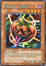 Mystic Tomato · Blue 006c-u