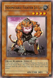 Indomitable Fighter Lei Lei · Common 023