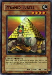 Pyramid Turtle · Common 005
