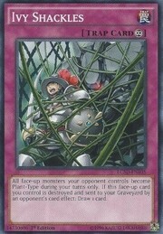 Ivy Shackles · Common 105