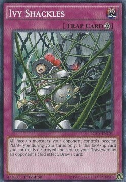 Ivy Shackles Card Front