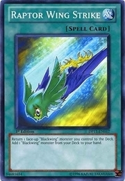 Raptor Wing Strike · Common 017