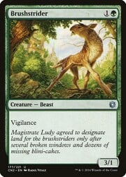 Brushstrider 177