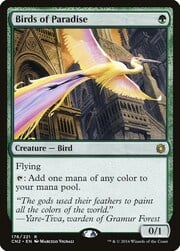 Birds of Paradise 176