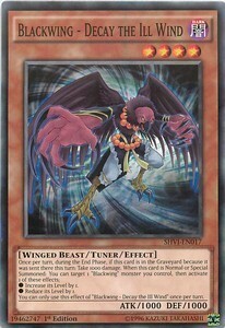 Blackwing - Decay the Ill Wind Card Front