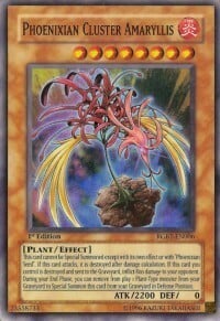 Phoenixian Cluster Amaryllis Card Front