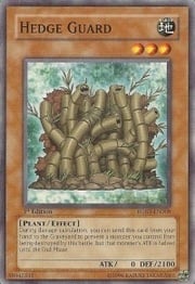 Hedge Guard · Common 008