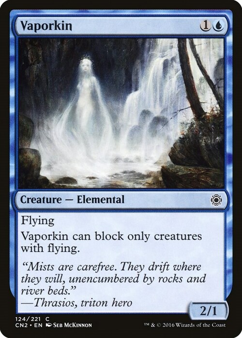 Vaporkin Card Front