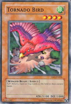 Tornado Bird Card Front