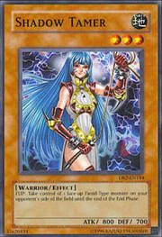 Shadow Tamer · Common 144