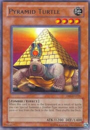Pyramid Turtle · Rare 225