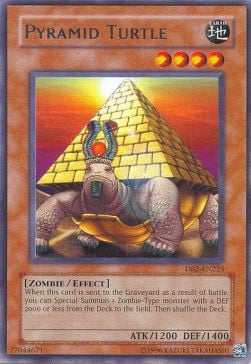 Pyramid Turtle Card Front