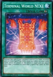 Terminal World NEXT · Common 067