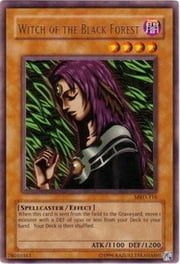 Witch of the Black Forest · Common 020