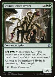 Domesticated Hydra 063