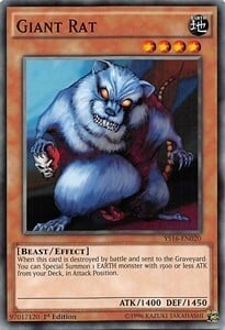 Ratto Gigante Card Front