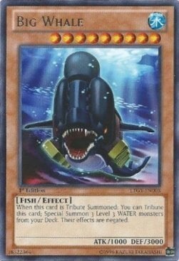 Big Whale Card Front
