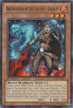 Brotherhood of the Fire Fist - Leopard Card Front