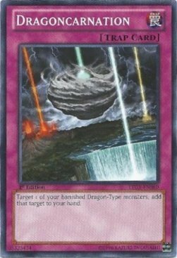 Dragoncarnation Card Front