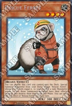 Rescue Ferret Card Front