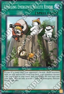 Emerging Emergency Rescute Rescue Card Front