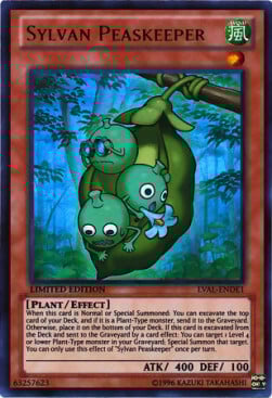 Custodibaccelli Silvano Card Front