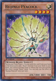 Bujingi Peacock · Rare 027