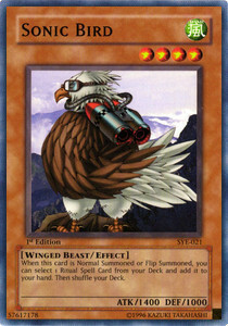 Sonic Bird Card Front