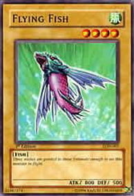 Flying Fish Card Front