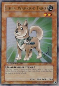 Shiba Warrior Taro Card Front