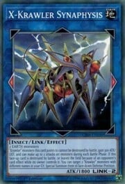 X-Krawler Synaphysis · Common 048