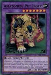 Amazoness Pet Liger · Common 094