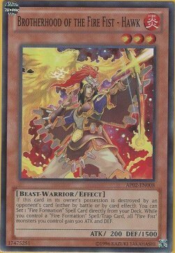 Brotherhood of the Fire Fist - Hawk Card Front
